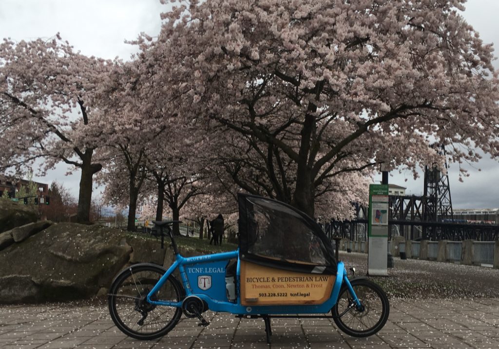 Electric cargo bike