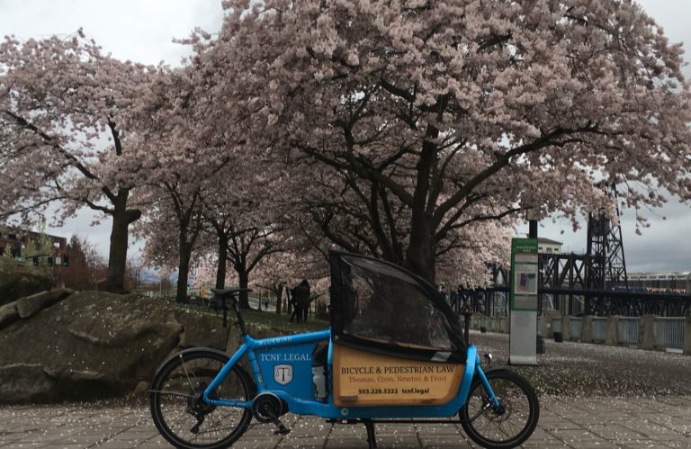 Electric cargo bike